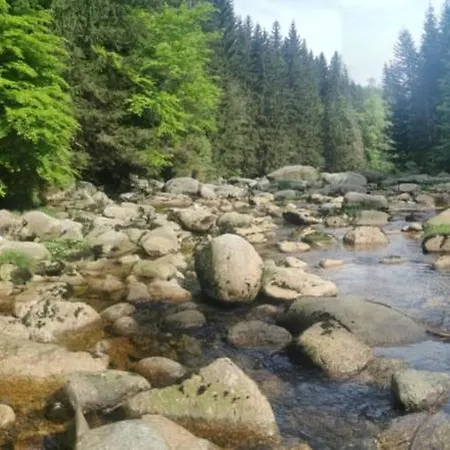 Appartement Na Ceste Desná