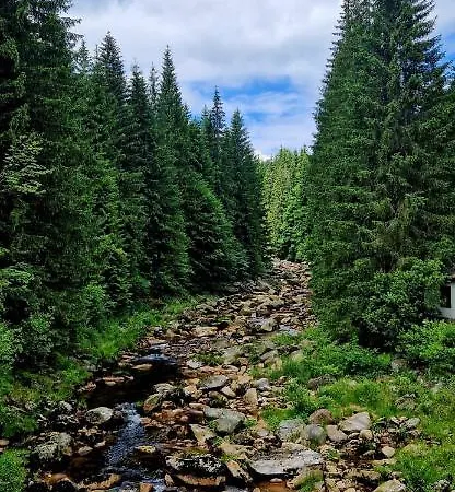 Na Ceste Desna (Liberec)